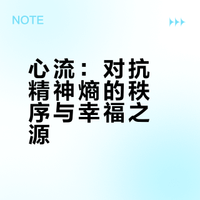 心流：对抗精神熵的秩序与幸福之源