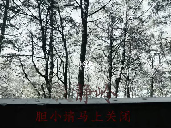 胆小者谨入——游戏COS《寂静岭》