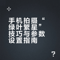 春日必学‖用手机就能拍到了绿叶繁星