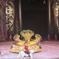 花1280元买VIP票却看不清表演?长隆大马戏值不值得看,取决于你坐在哪