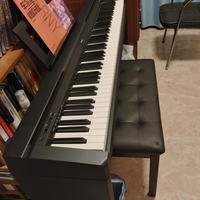 电钢琴性价比排行榜前十名，买琴必看！