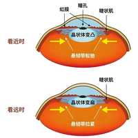 请查收你的春季用眼指南:开学季&开工季,如何科学合理用眼?