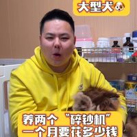 大型犬月均养宠成本解析：伯恩山与阿拉斯加开销明细