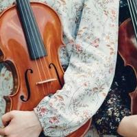 2026年，有哪些口碑不错、适合学生的小提琴品牌和型号？