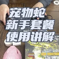 宠物蛇新手饲养套装配置与温控设置详解