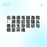 北海道观鸟团｜道东最难拍猫头鹰:毛腿渔鸮
