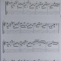 指弹吉他曲谱分类与识读指南