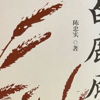 《白鹿原》：被“腰斩”的民族史诗，只剩一曲田小娥的悲歌