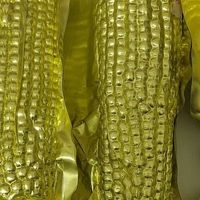 邹有才东北黄甜糯玉米新货低脂粗粮主食代餐粘黏苞米