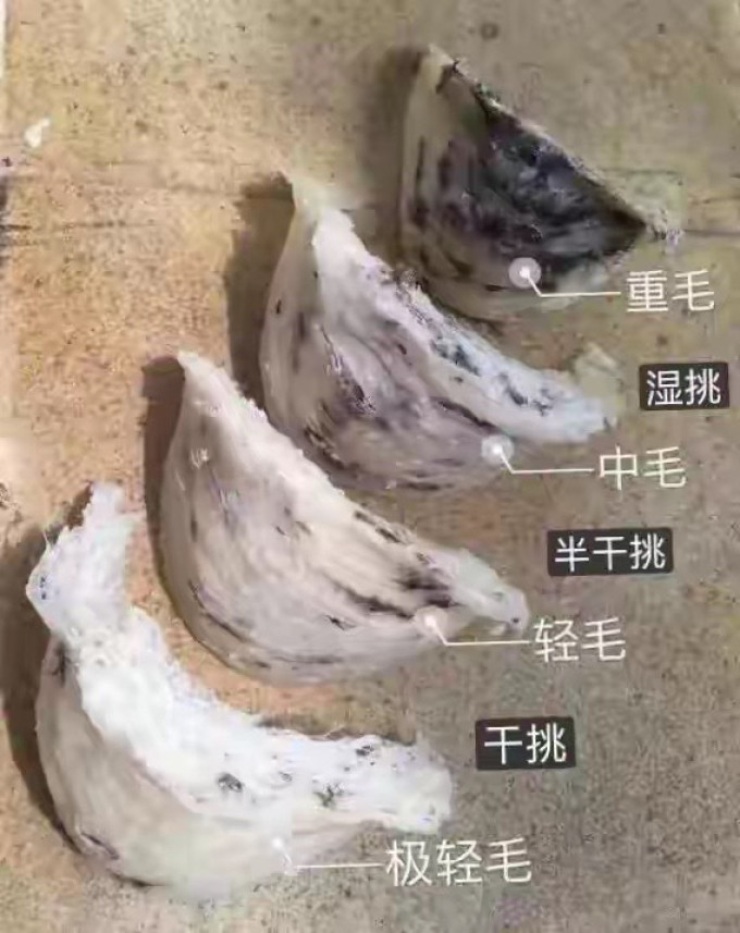 燕之屋燕窝