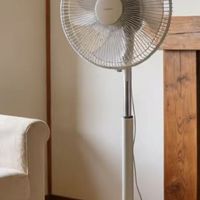 电风扇哪个品牌质量好？闭眼入！十大公认最耐用低噪运行不扰眠

