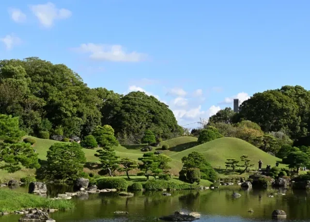 飞日本，2691个航班取消！樱花季的旺季，日本没人去了？