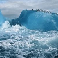 2026儿童护眼电视机推荐：护眼不偏色，硬件级技术成首选