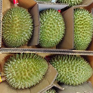 榴莲也疯狂～