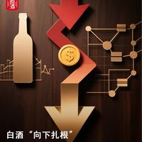 白酒“向下扎根”