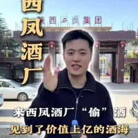 探访西凤酒厂:揭秘“四大名酒”背后的工艺与价值