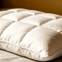 2026年侧睡枕头测评：哪款枕头最适合肩宽体型、侧睡不落枕？