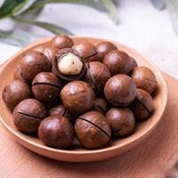 夏威夷果营养解析：高油但结构优，每天4颗不增重