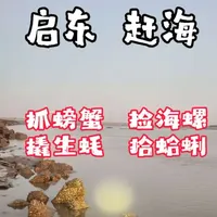 南通启东赶海攻略：五种常见海货捕捉技巧全解析