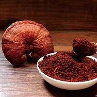 2026品质滋补指南，十佳灵芝孢子粉国货，高性价比之选推荐