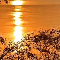 风衣、牛仔夹克、针织开衫红黑榜