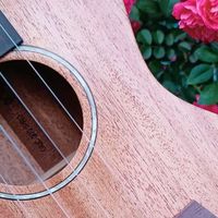 新手尤克里里升级分享✨ 实实在在的体验，不吹不黑～