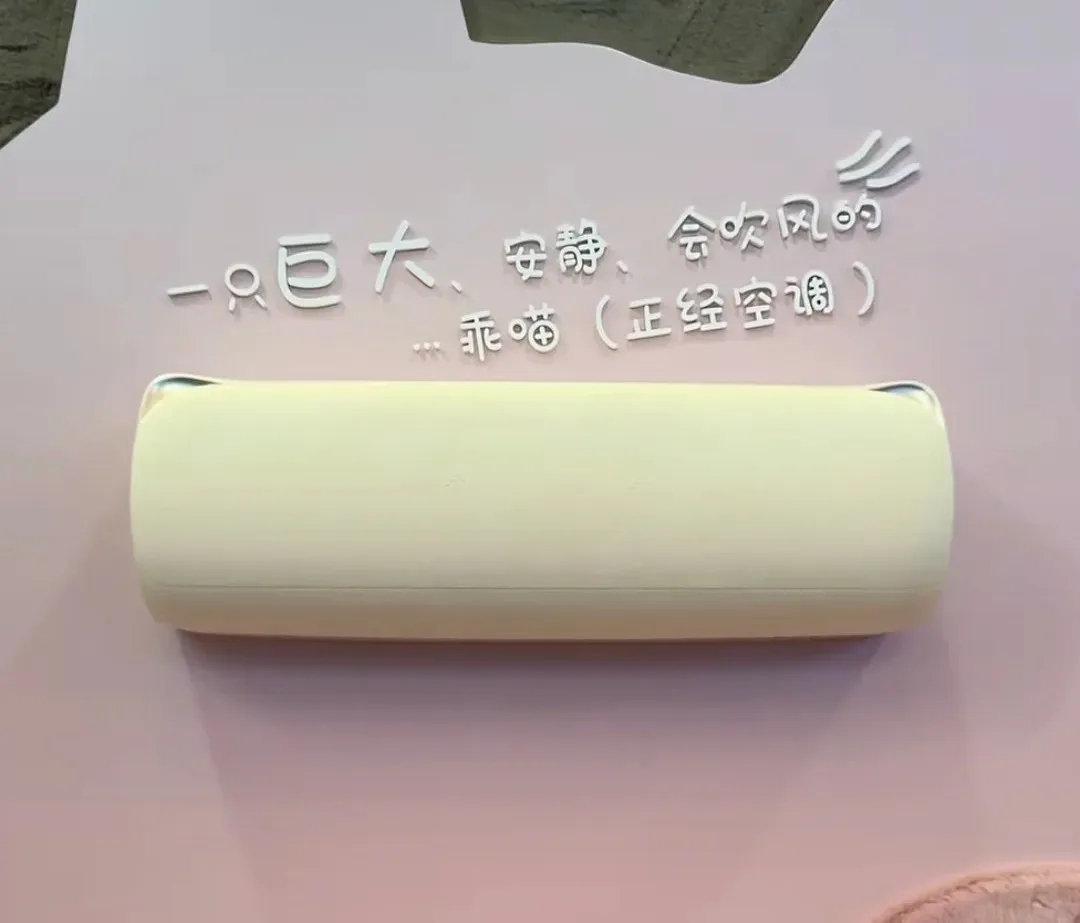 从玫瑰被嘲到爆火的猫猫空调，格力审美反转让董明珠赢麻了