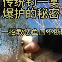 台钓与传统钓结合：一窝十斤的野钓策略解析