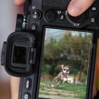 索尼相机保姆级教程｜一分钟学会对焦方式📷！