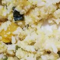 春季宠物肠胃不适？试试这些食谱！