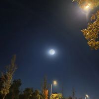 “跑步4年后，真心建议：千万不要天天跑步。”