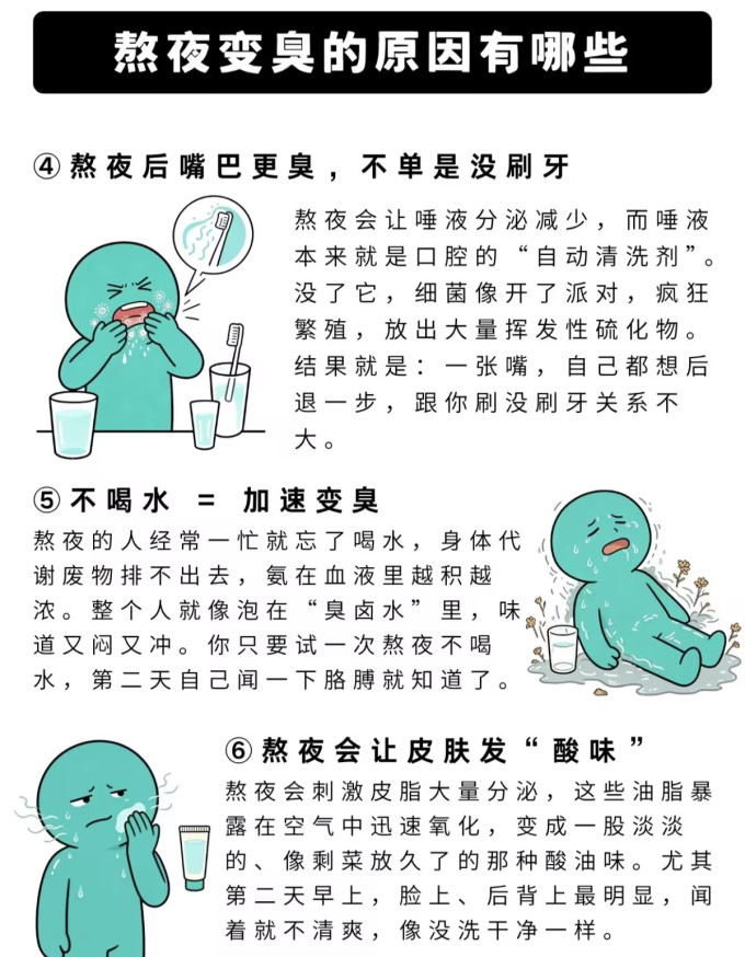 净化除味
