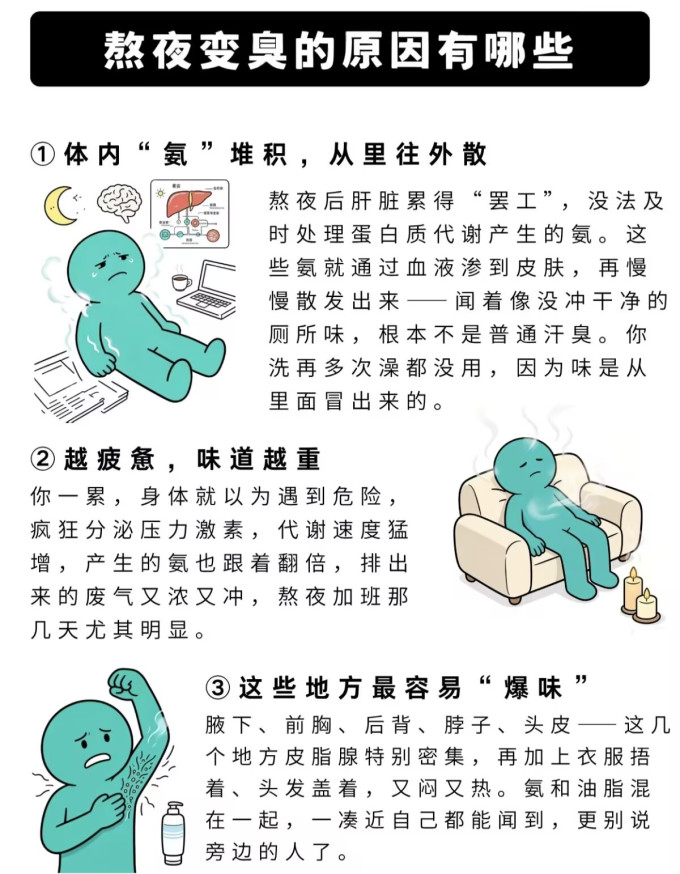 净化除味