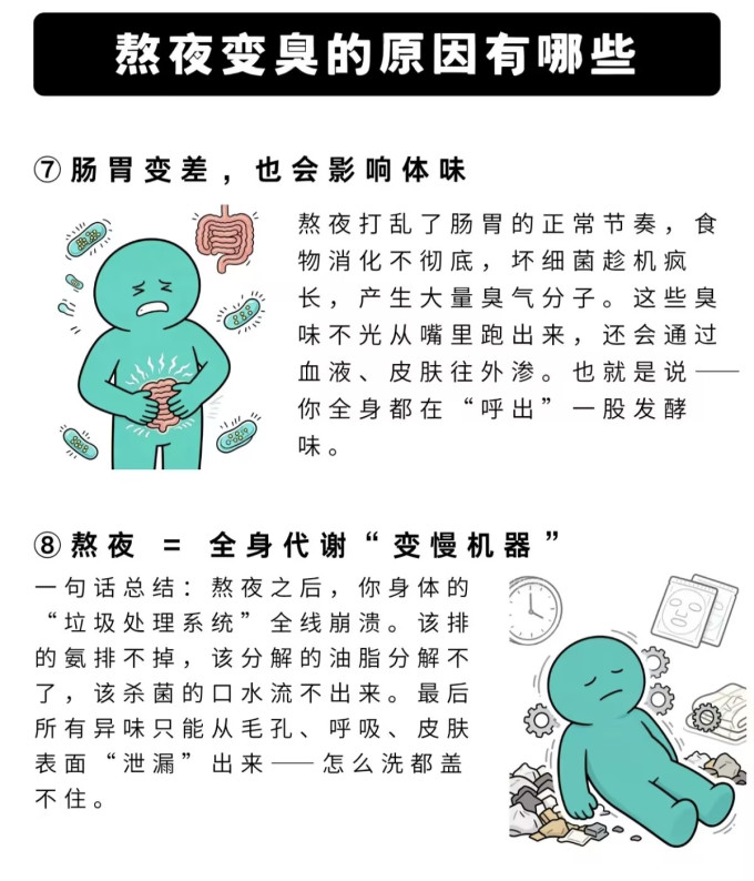 净化除味