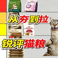 【猫粮推荐2026】盘点市面上的热门猫粮，从夯到拉依次锐评，极速避坑版。猫粮推荐