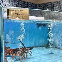 上海citysuper黄桃标价799元/500克引热议，炸虾48元同柜销售价差超20倍