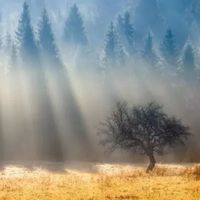 遇到丁达尔光怎么拍？后期又怎么调？