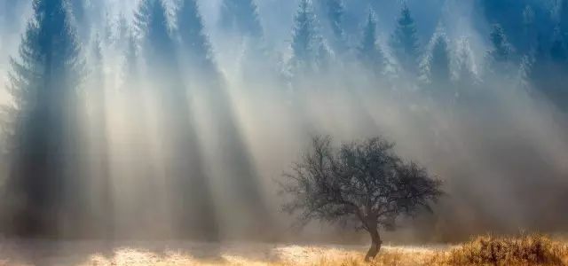 遇到丁达尔光怎么拍？后期又怎么调？