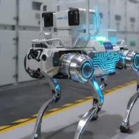 高德跨界造机器狗，阿里首款具身智能机器人即将亮相