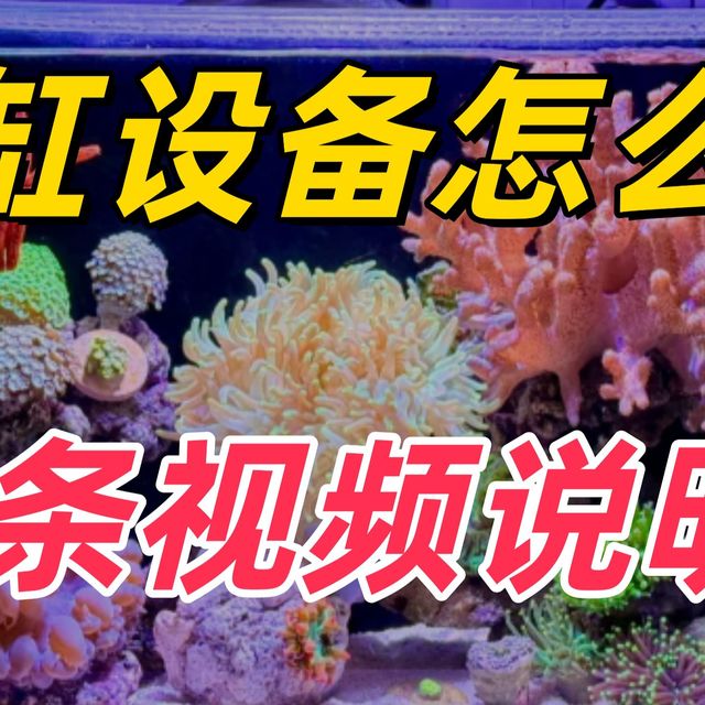 海缸设备怎么选？一条视频说明白