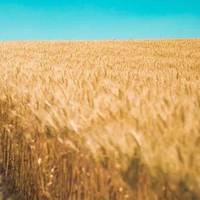 荣事达祸起家电品牌授权经营之乱