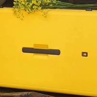 清明带俩娃去南京，后悔没早点买这个28寸行李箱！！