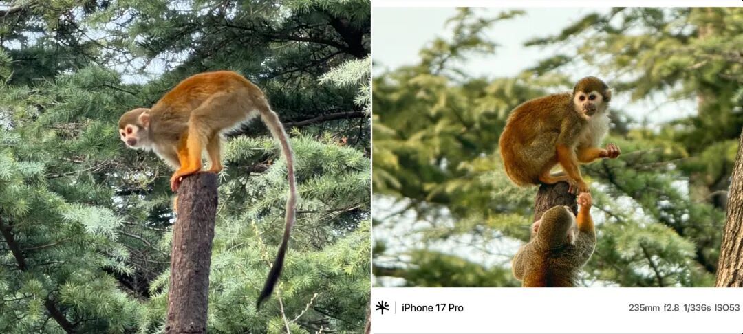 重塑手机摄影仪式感:当 iPhone 遇上 RetroVa 复古影像套装,移动影像迈入大外设时代
