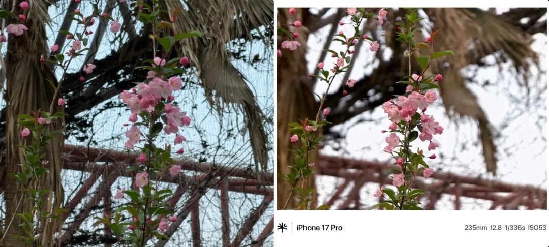 重塑手机摄影仪式感:当 iPhone 遇上 RetroVa 复古影像套装,移动影像迈入大外设时代