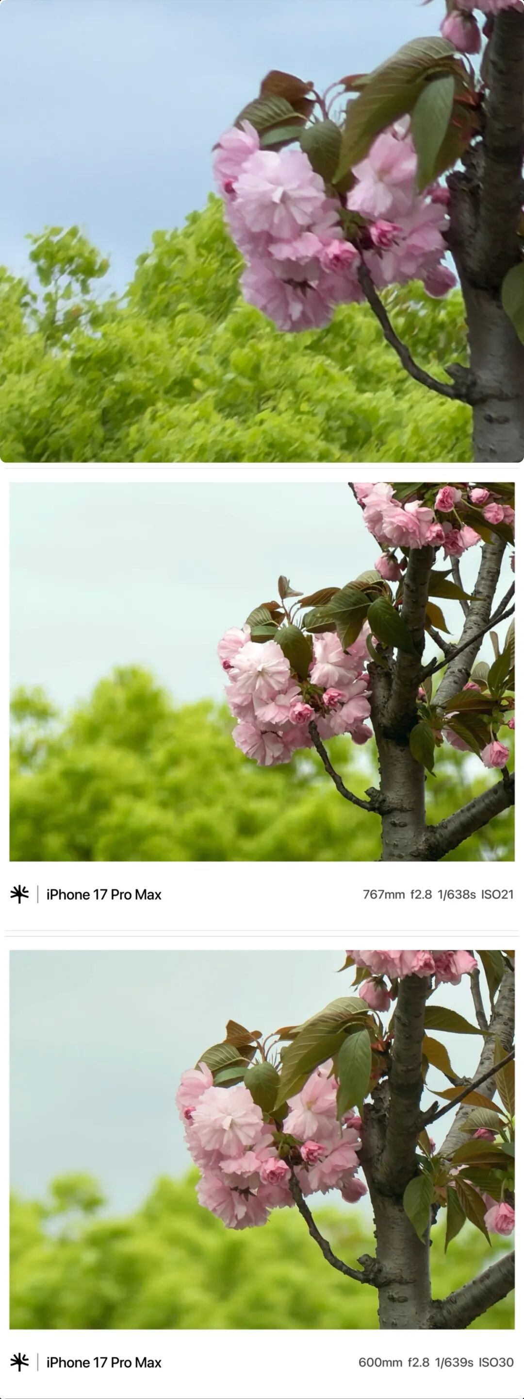 重塑手机摄影仪式感:当 iPhone 遇上 RetroVa 复古影像套装,移动影像迈入大外设时代