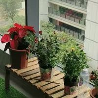 定制置物架落地式！台面扩展花盆架子神器绝绝子！