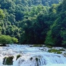 贵州避暑攻略有哪些？2026年贵阳安顺等地区的市场选择