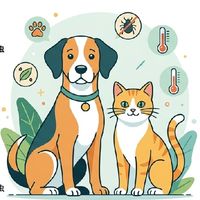 宠物外出归来驱虫怎么选？十大热门品牌全面测评对比