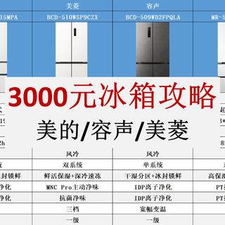 3000元预算，美的/容声/美菱高性价比冰箱全面横评与选购指南