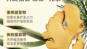 油头细软塌本命！菲诗蔻洗发水，蓬松去屑一步封神